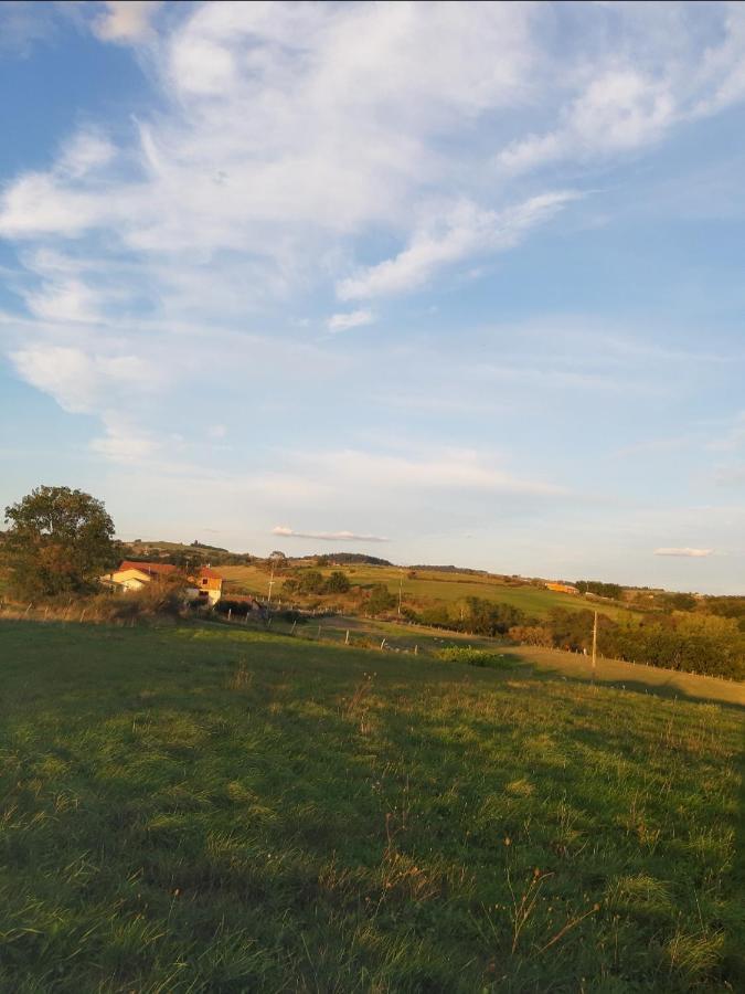 La Ferme Du Bouton D'or Bed and breakfast