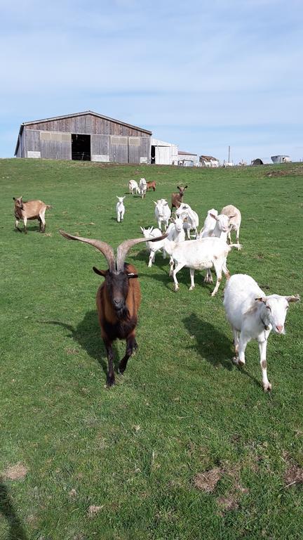 La Ferme Du Bouton D'or 3*